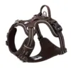 True Love Explosion Proof | Hundesele → Brun
