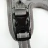 True Love Explosion Proof | Hundesele