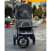 InnoPet Adventure