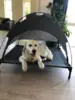 Hundeseng med soltag | Kundebillede