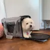 Casual Flytaske / Rejsetaske- vores kontorhund sally tester en str small