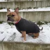 Hundesweater Malmø |HUNTER