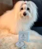 Ollipet Økologisk Potevoks | 60g til hunde. Fugter og forebygger sprækkede, ømme poter