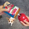 KONG Stuff'n Peanutbutter 170g