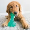 KONG Squeezz Dental Stick