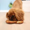 George og Denta Fun Chicken Heart
