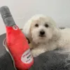 Rose Sparkling plysflaske
