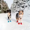 Non-Stop dogwear Long Distance bootie