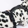 Non-Stop Dogwear Line Harness 5.0