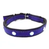 SOLID LED-halsbånd Royal Blue