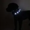 SOLID LED-halsbånd  I Sort Extreme