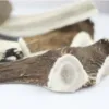 NATURBEN Halve Hjortegevir