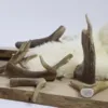 NATURBEN Dådyrgevir