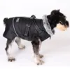 BonAPet Vinterdækken | M. Sele