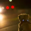 Curli Luumie LED safety lights | 2 stk