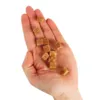 Companion Lamb Grain Cube 500g
