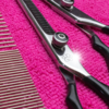 Ollipet Basic Groomingsæt