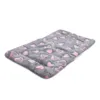 Ollipet Wellness Madras