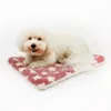 Ollipet Wellness Madras