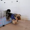 Ollipet LIGHT Hvalpegård perfekt til mindre hunde