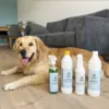 Ollipet Tæpperens 1L