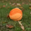 Ollipet Natur Latex Basketbold