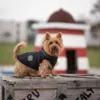 Ollipet Arctic Explorer | hundejakke m. fleecefór og god pasform