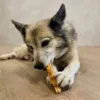 Faunakram Kornfri Dental Stick Medium Breed