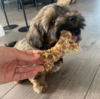 WOOLF Natural Bone | Også til hvalpe