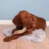 NATURBEN Lammehorn & Kuno