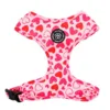 Ollipet City Lux Hundesele I Hearts of Love