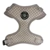 Ollipet City Lux Hundesele | Cute Little Dots