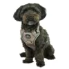 Ollipet Adventure Sele Ludwig