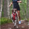Non-Stop Dogwear Freemotion Harness 5.0 Pink