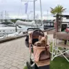 Venezia hundeklapvogn med 2 små Yorkshire Terrier i.