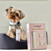 Ollipet Exclusive Potetrimmer | White/Gold - Leveres i flot æske