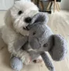 Ollipet Safari Koala er Sallys yndlingsbamse