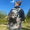 Ollipet Hiking Backpack er ideel til vandreture med hunden