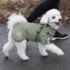 Ollipet Sirius de Luxe Dynejakke med refleks og sele Grøm