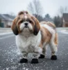 hundestrømpestøvler i flere størrelser