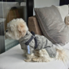Ollipet Aqua Explorer De Luxe Regnjakke/Windbreaker med sele