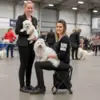 Foldbar klapstol fra Ollipet, perfekt til hundeudstilling