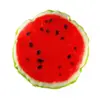 Ollipet hundelegetøj - Vandmelon med piv og raslepapir