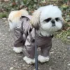 En lækker regndragt fra Ollipet her er det en Shih Tzu der passer en str XL