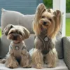 Alex og Coco i en Khaki i X-small og Mocca i small