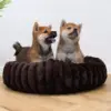 Flot mørkebrun hundekurv, med 2 Shiba hvalpe