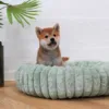 Shiba hvalp på 8 uger i en Bella Bloom Green hundeseng