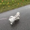 Ollipet Poncho Regndragt | str 34 cm. til en Coton de Tulear på 6 kg