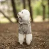 Ollipet Poncho Regndragt til Puddel