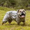 Regndragt til engelsk bulldog i str. 2XL med korte ben